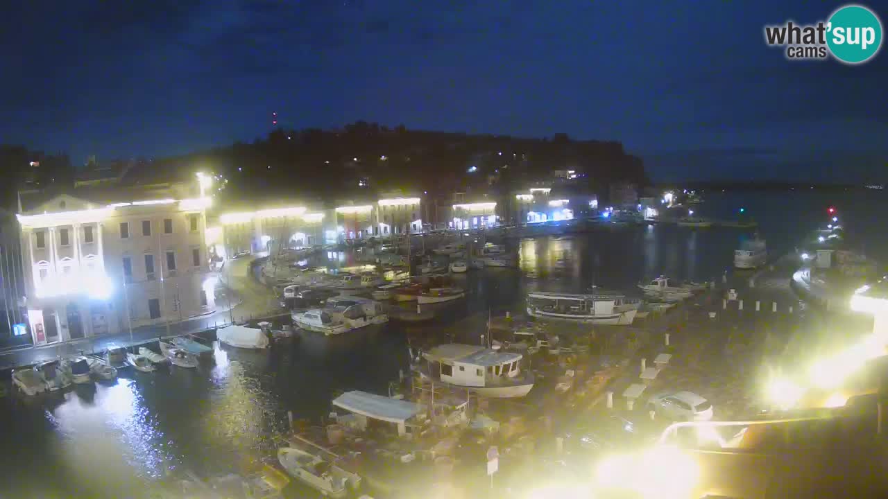 Iz Pirana Spletna kamera v živo “Mandrač” – Neverjeten pogled v živo iz Vile Piranesi