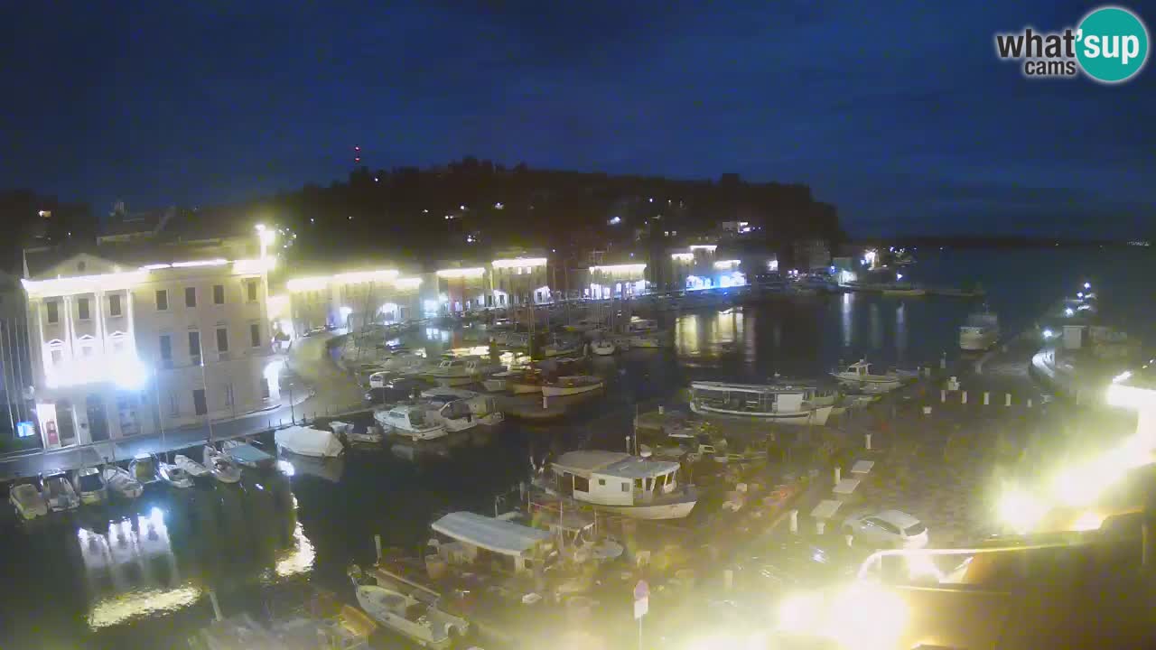 Iz Pirana Spletna kamera v živo “Mandrač” – Neverjeten pogled v živo iz Vile Piranesi