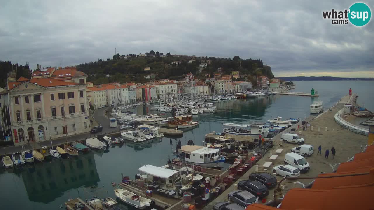 Live-Webcam aus Piran “Mandrač” – Erstaunliche Live-Ansicht von Villa Piranesi