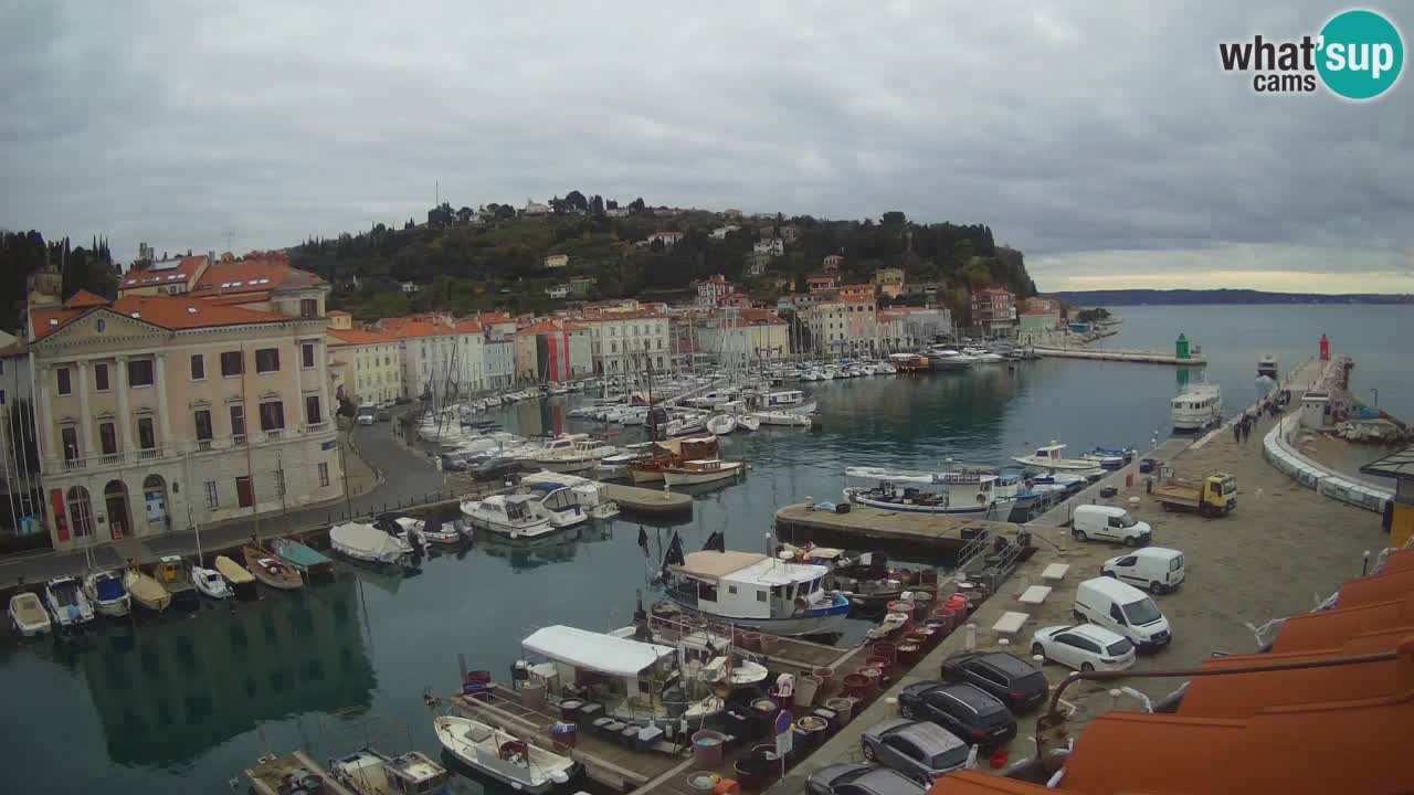 Webcam en direct de Piran “Mandrač” – Incroyable vue en direct de la Villa Piranesi