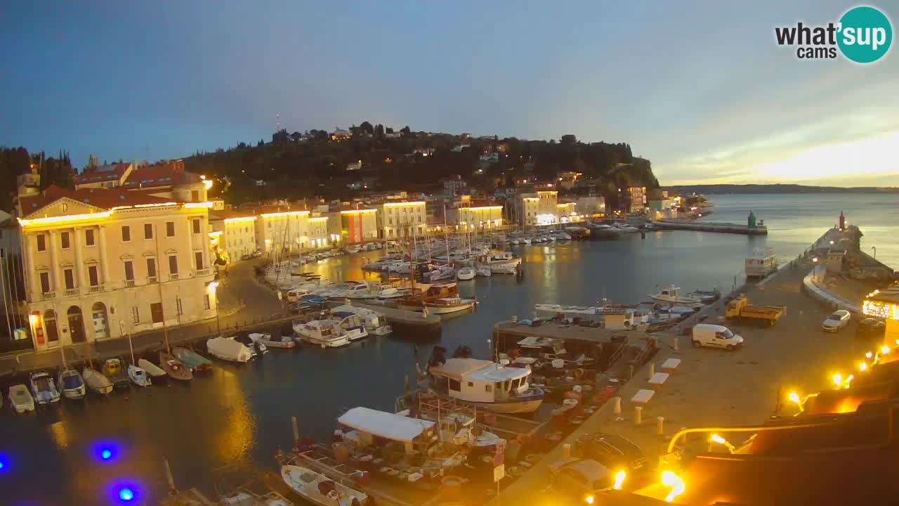 Iz Pirana Spletna kamera v živo “Mandrač” – Neverjeten pogled v živo iz Vile Piranesi