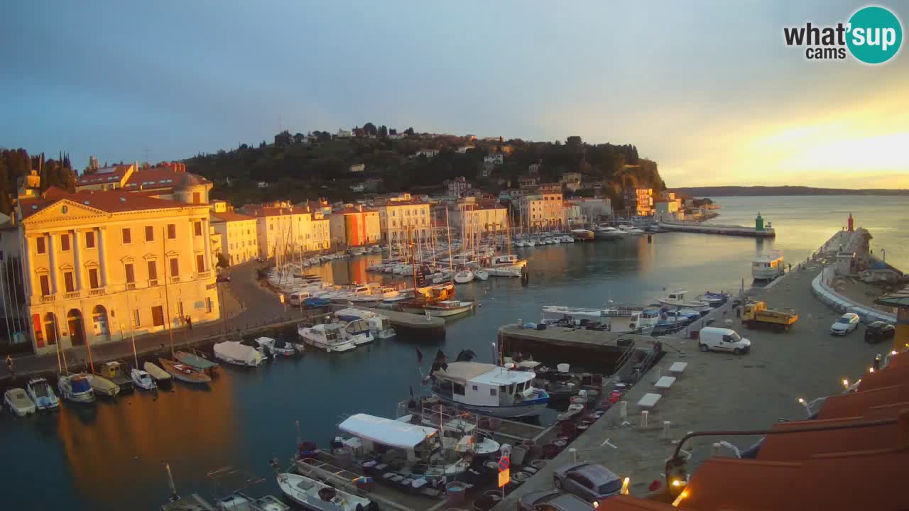 Iz Pirana Spletna kamera v živo “Mandrač” – Neverjeten pogled v živo iz Vile Piranesi