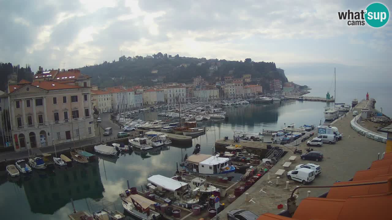 Live webcam from Piran “Mandrač” – Amazing live view from Villa Piranesi