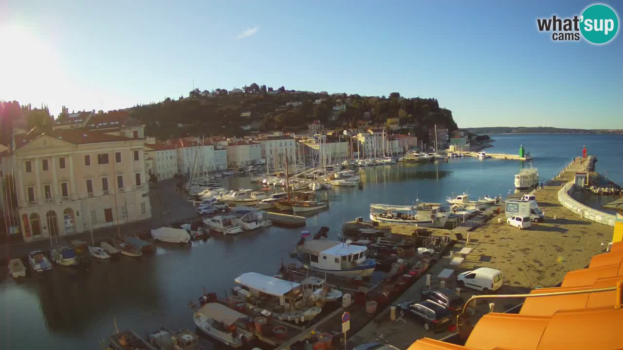 Iz Pirana Spletna kamera v živo “Mandrač” – Neverjeten pogled v živo iz Vile Piranesi