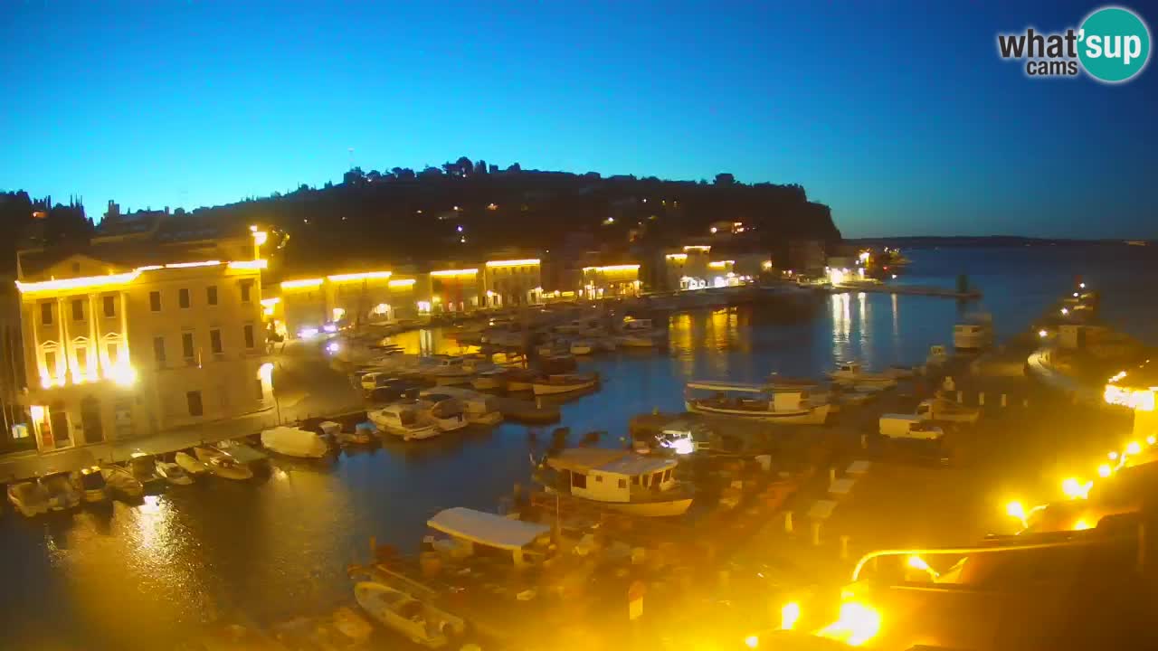 Web kamera uživo iz Pirana “Mandrač” – Nevjerojatan pogled uživo iz Ville Piranesi