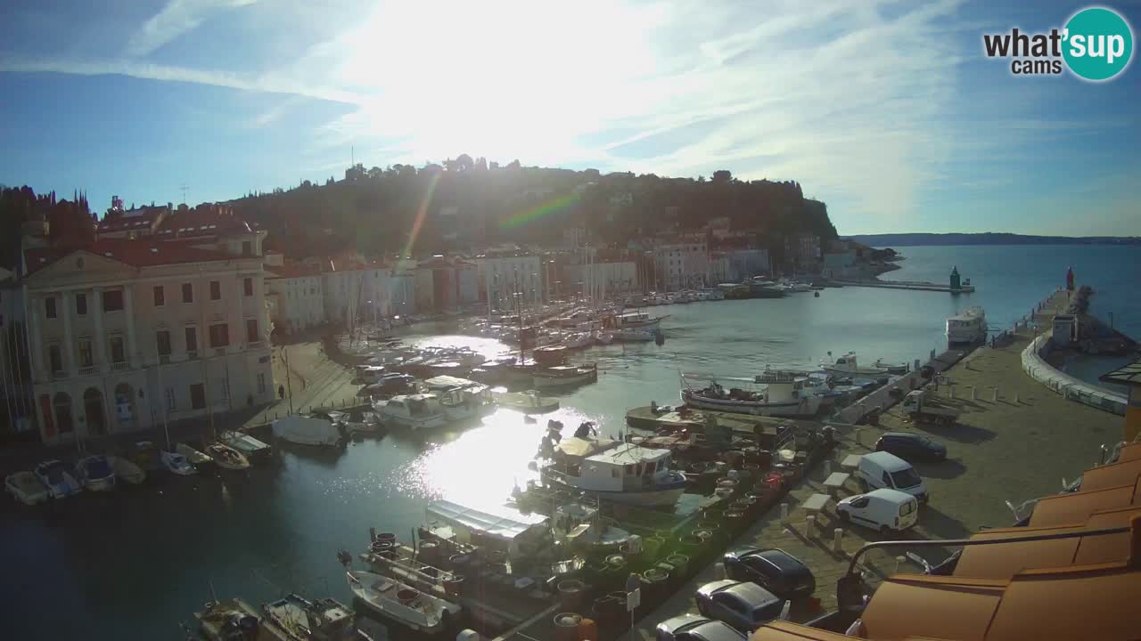 Web kamera uživo iz Pirana “Mandrač” – Nevjerojatan pogled uživo iz Ville Piranesi