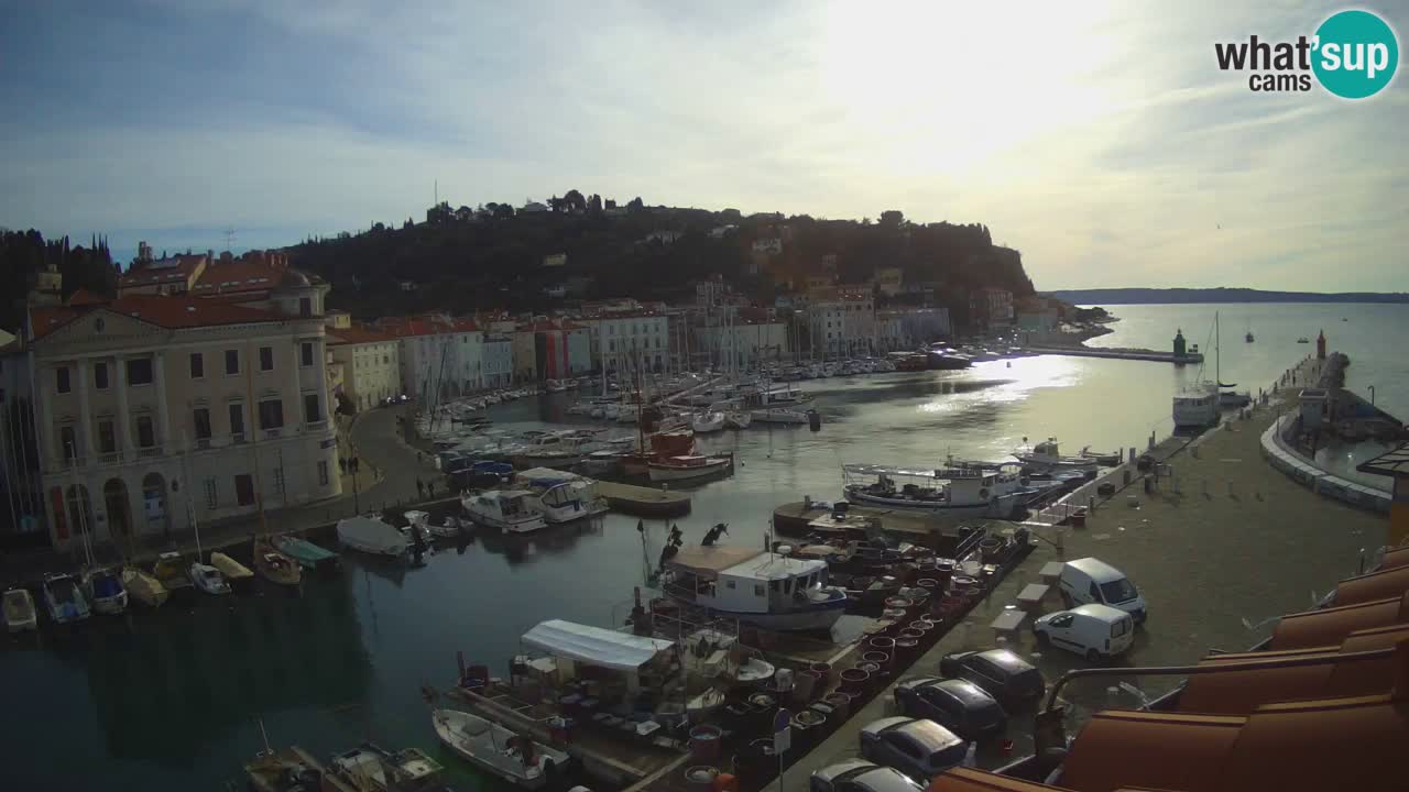 Iz Pirana Spletna kamera v živo “Mandrač” – Neverjeten pogled v živo iz Vile Piranesi