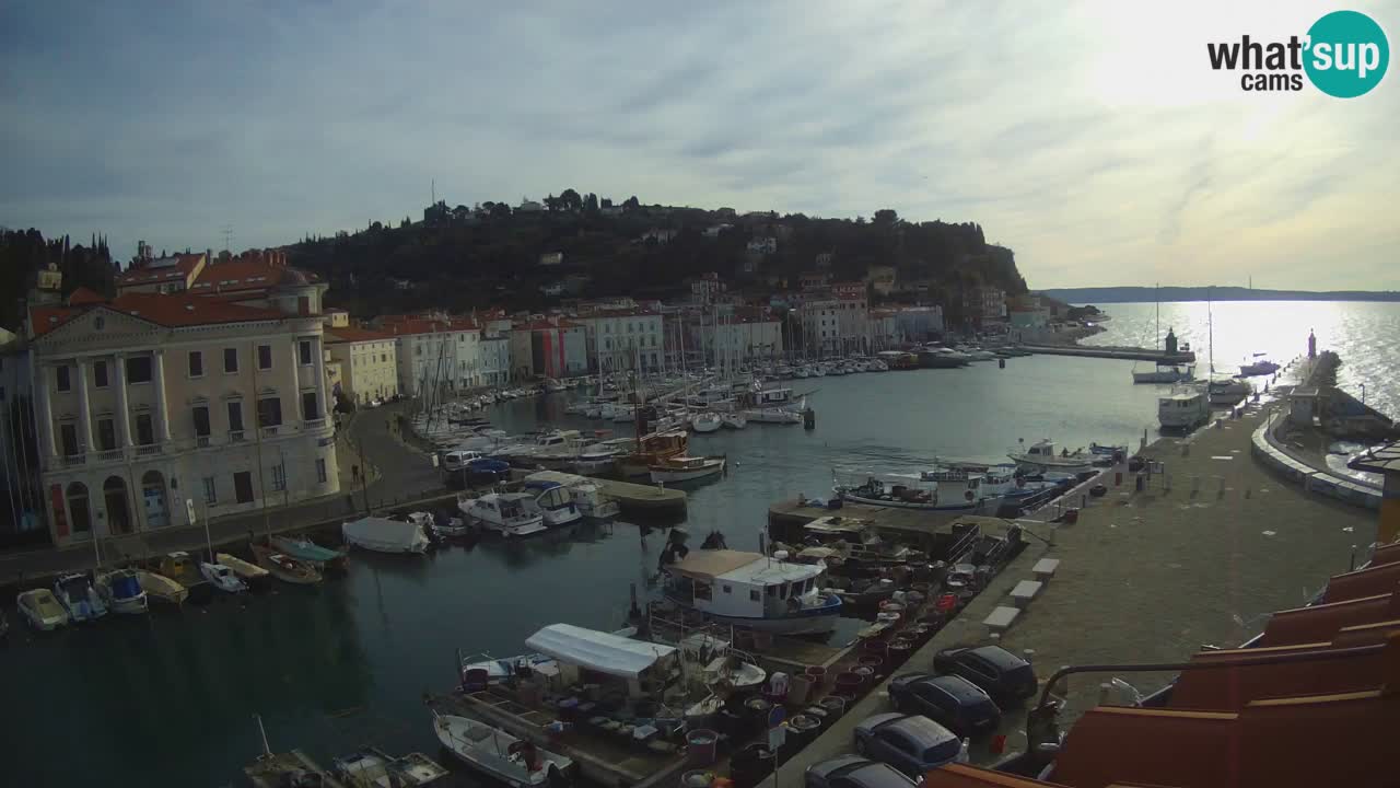 Iz Pirana Spletna kamera v živo “Mandrač” – Neverjeten pogled v živo iz Vile Piranesi