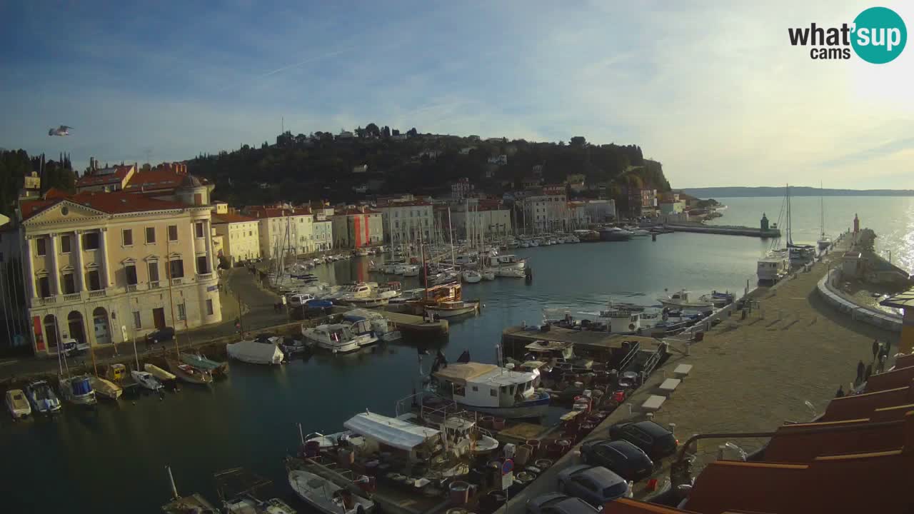 Live webcam da Pirano “Mandrač” – Splendida vista live da Villa Piranesi