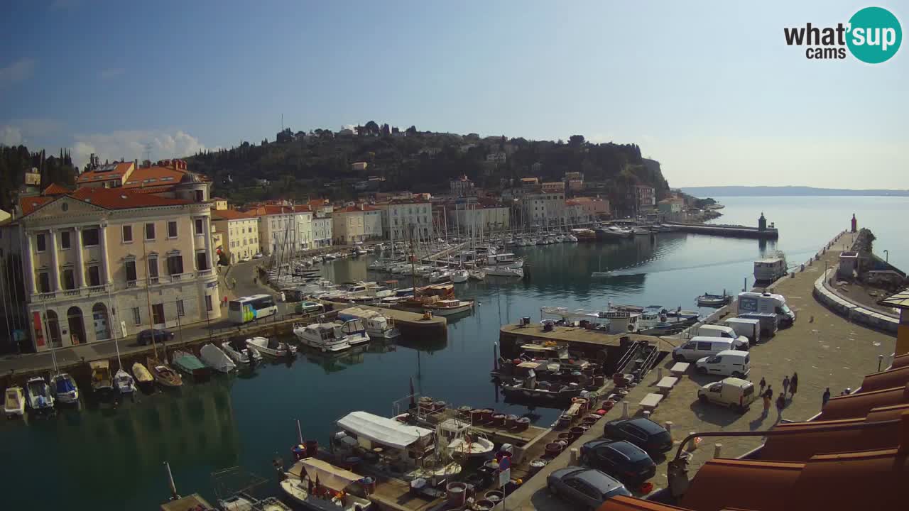 Iz Pirana Spletna kamera v živo “Mandrač” – Neverjeten pogled v živo iz Vile Piranesi