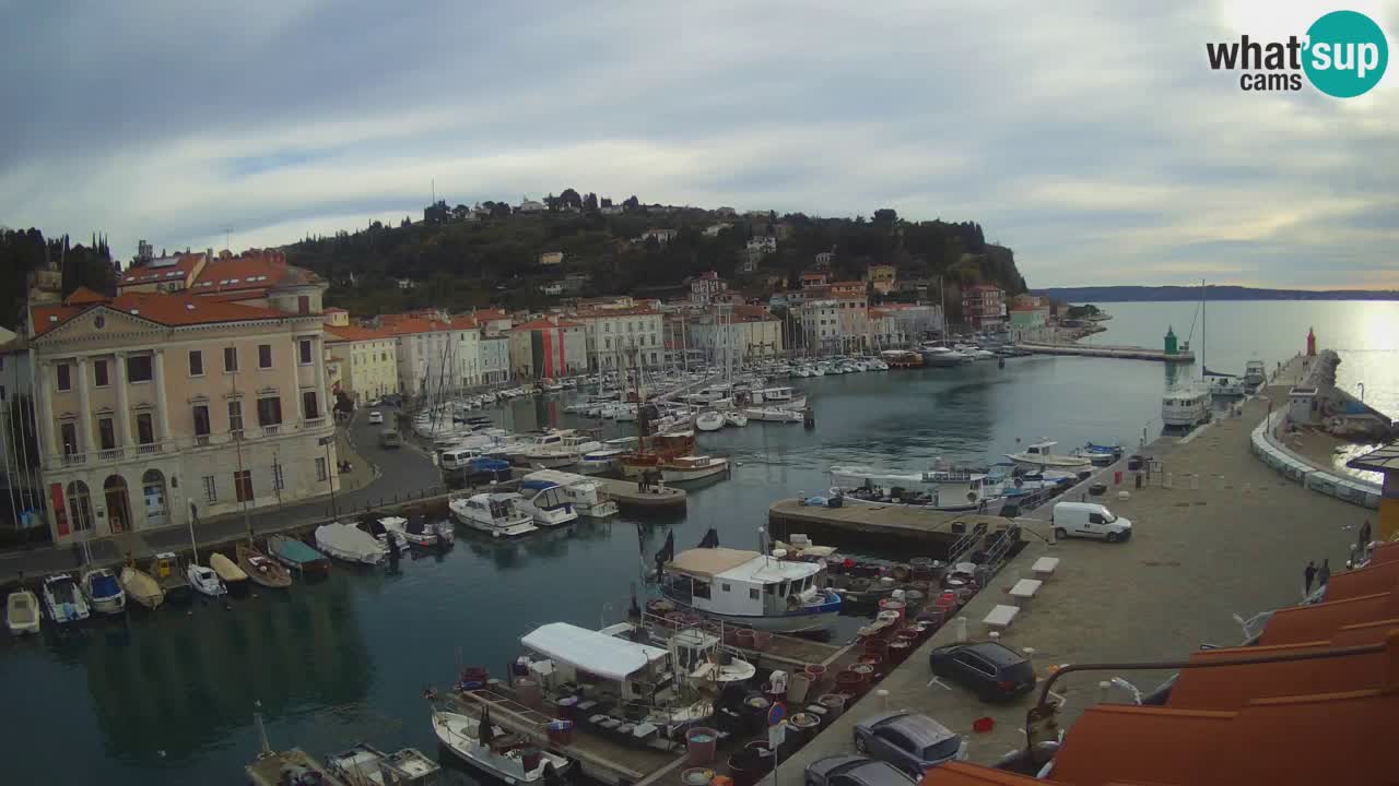 Web kamera uživo iz Pirana “Mandrač” – Nevjerojatan pogled uživo iz Ville Piranesi
