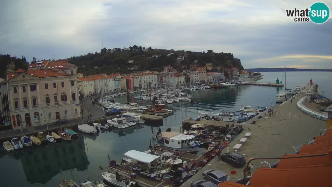 Web kamera uživo iz Pirana “Mandrač” – Nevjerojatan pogled uživo iz Ville Piranesi