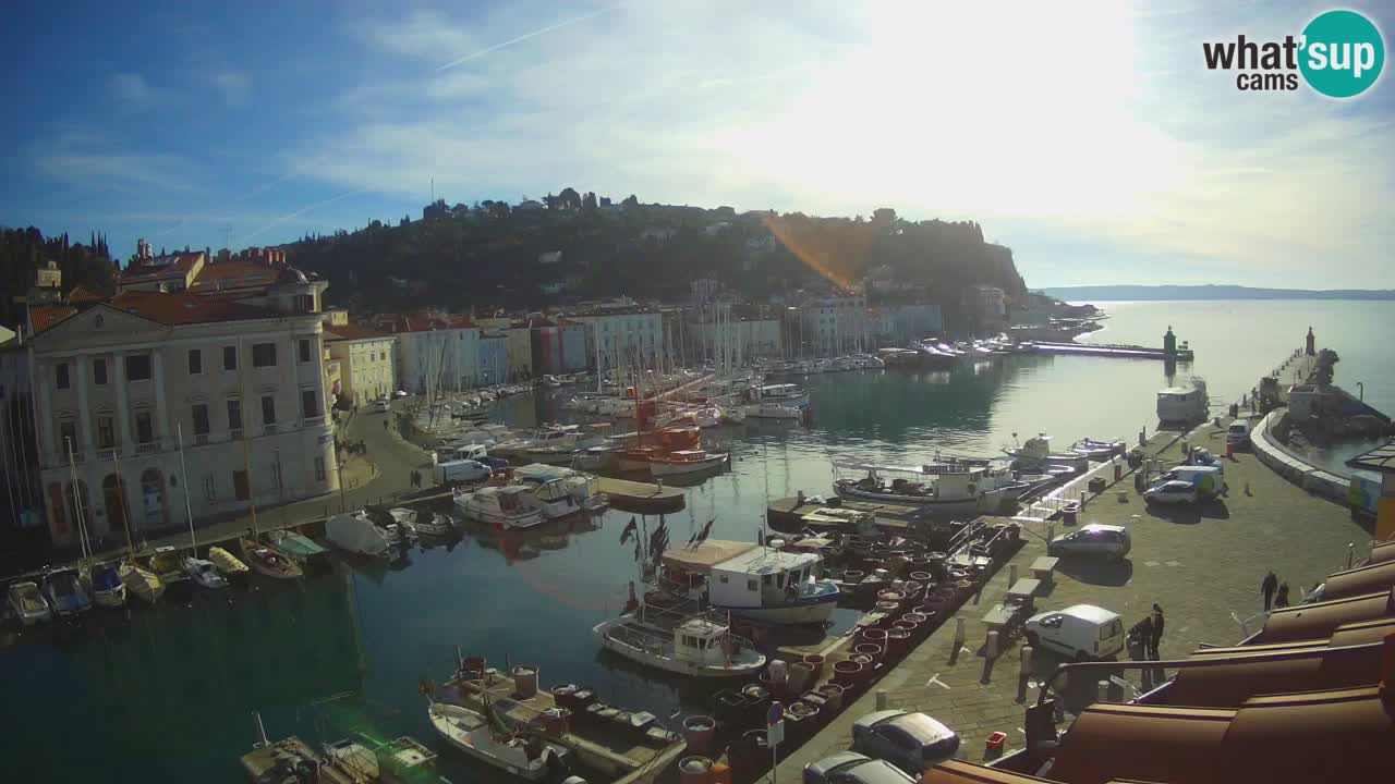 Web kamera uživo iz Pirana “Mandrač” – Nevjerojatan pogled uživo iz Ville Piranesi
