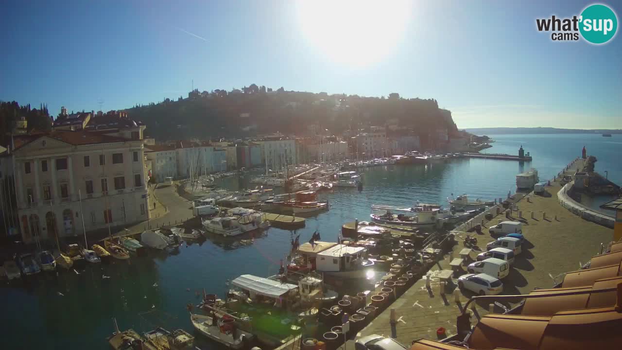 Live webcam from Piran “Mandrač” – Amazing live view from Villa Piranesi