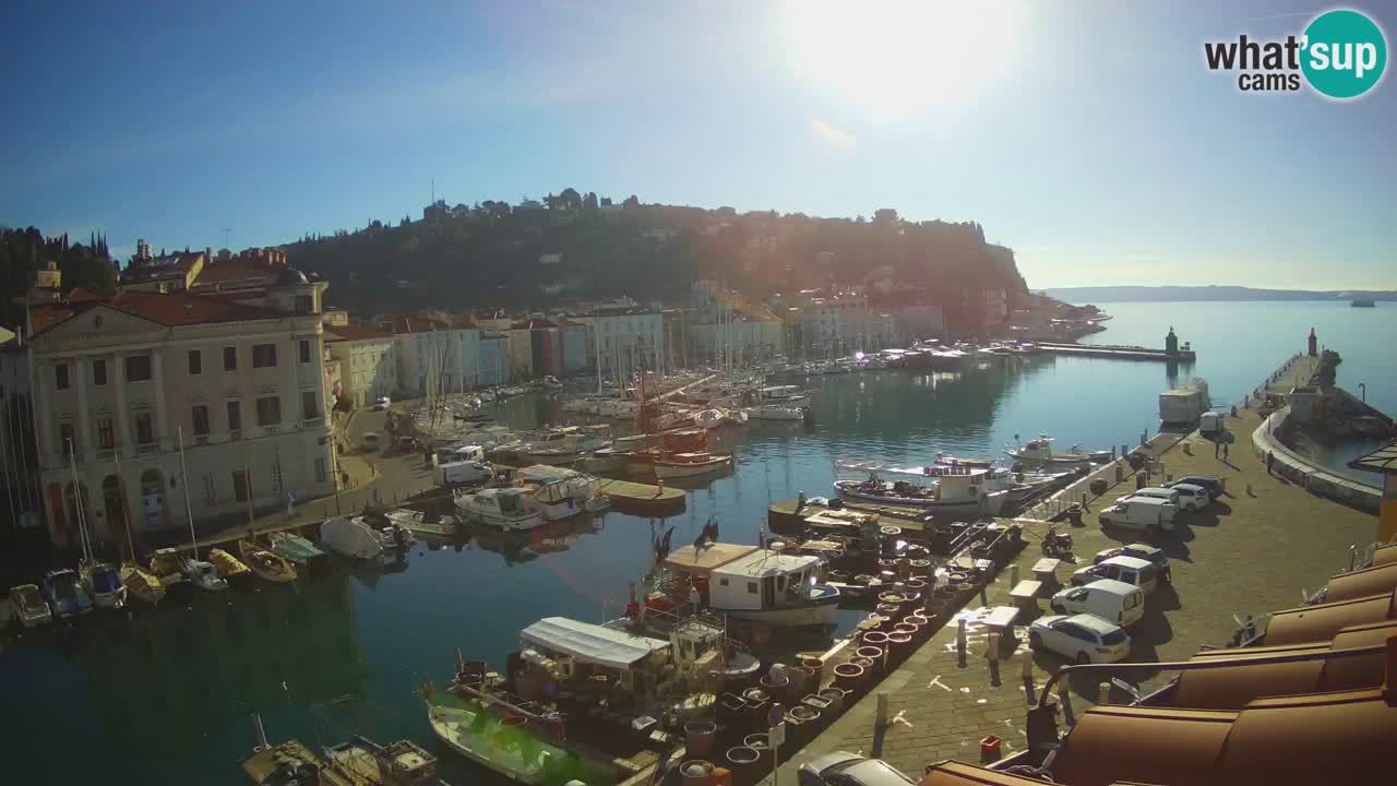 Live-Webcam aus Piran “Mandrač” – Erstaunliche Live-Ansicht von Villa Piranesi