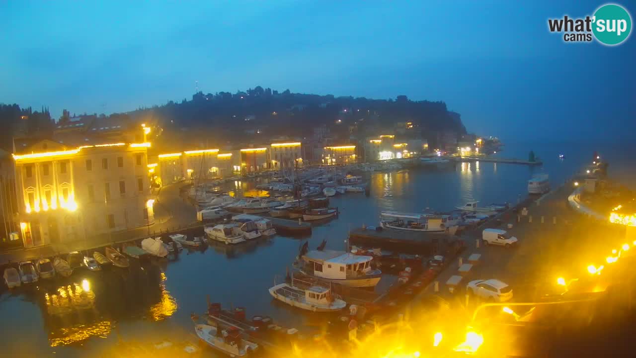 Web kamera uživo iz Pirana “Mandrač” – Nevjerojatan pogled uživo iz Ville Piranesi