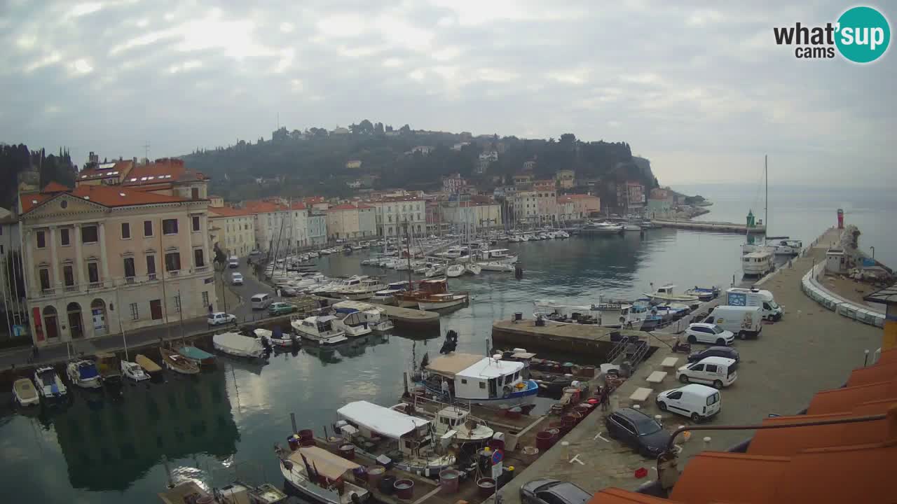 Live webcam from Piran “Mandrač” – Amazing live view from Villa Piranesi