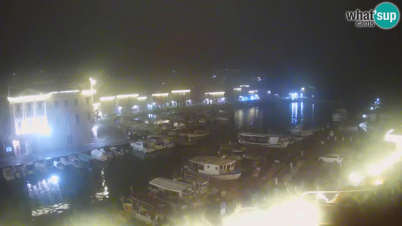 Iz Pirana Spletna kamera v živo “Mandrač” – Neverjeten pogled v živo iz Vile Piranesi