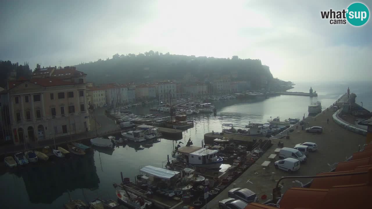 Live webcam da Pirano “Mandrač” – Splendida vista live da Villa Piranesi