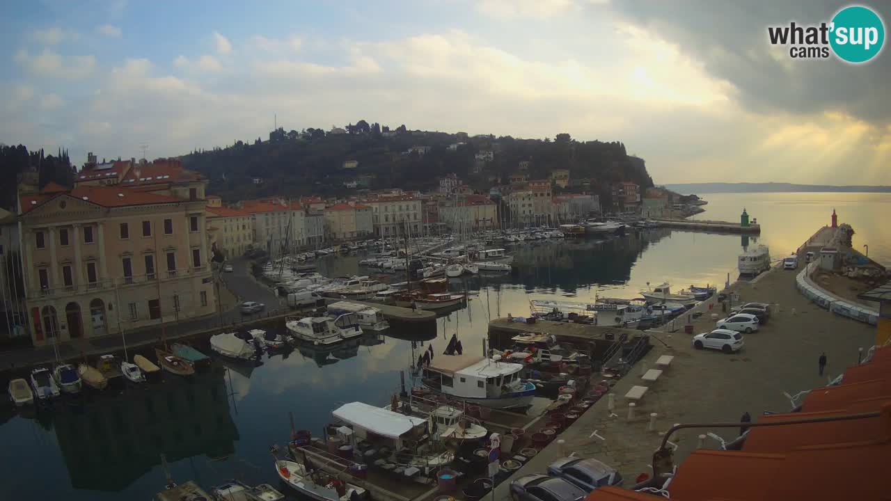 Iz Pirana Spletna kamera v živo “Mandrač” – Neverjeten pogled v živo iz Vile Piranesi