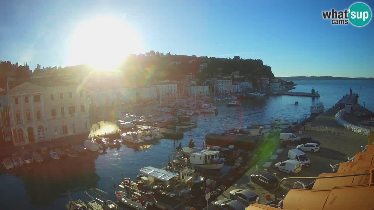 Iz Pirana Spletna kamera v živo “Mandrač” – Neverjeten pogled v živo iz Vile Piranesi