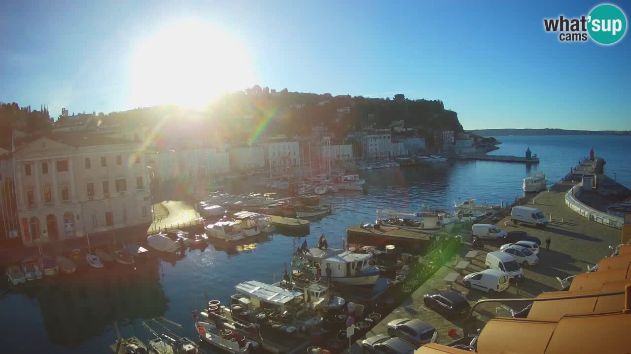 Iz Pirana Spletna kamera v živo “Mandrač” – Neverjeten pogled v živo iz Vile Piranesi