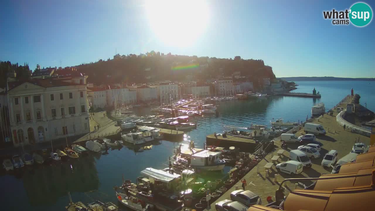 Web kamera uživo iz Pirana “Mandrač” – Nevjerojatan pogled uživo iz Ville Piranesi