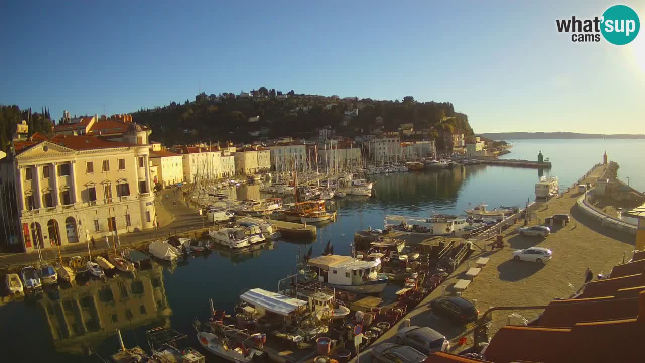 Web kamera uživo iz Pirana “Mandrač” – Nevjerojatan pogled uživo iz Ville Piranesi