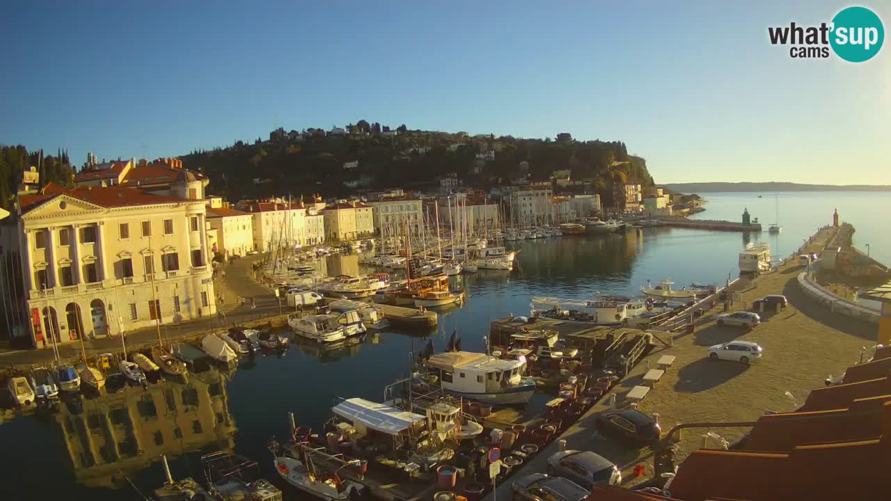 Iz Pirana Spletna kamera v živo “Mandrač” – Neverjeten pogled v živo iz Vile Piranesi