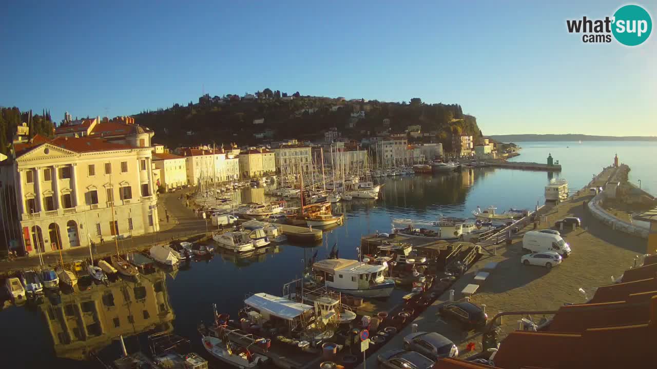 Iz Pirana Spletna kamera v živo “Mandrač” – Neverjeten pogled v živo iz Vile Piranesi