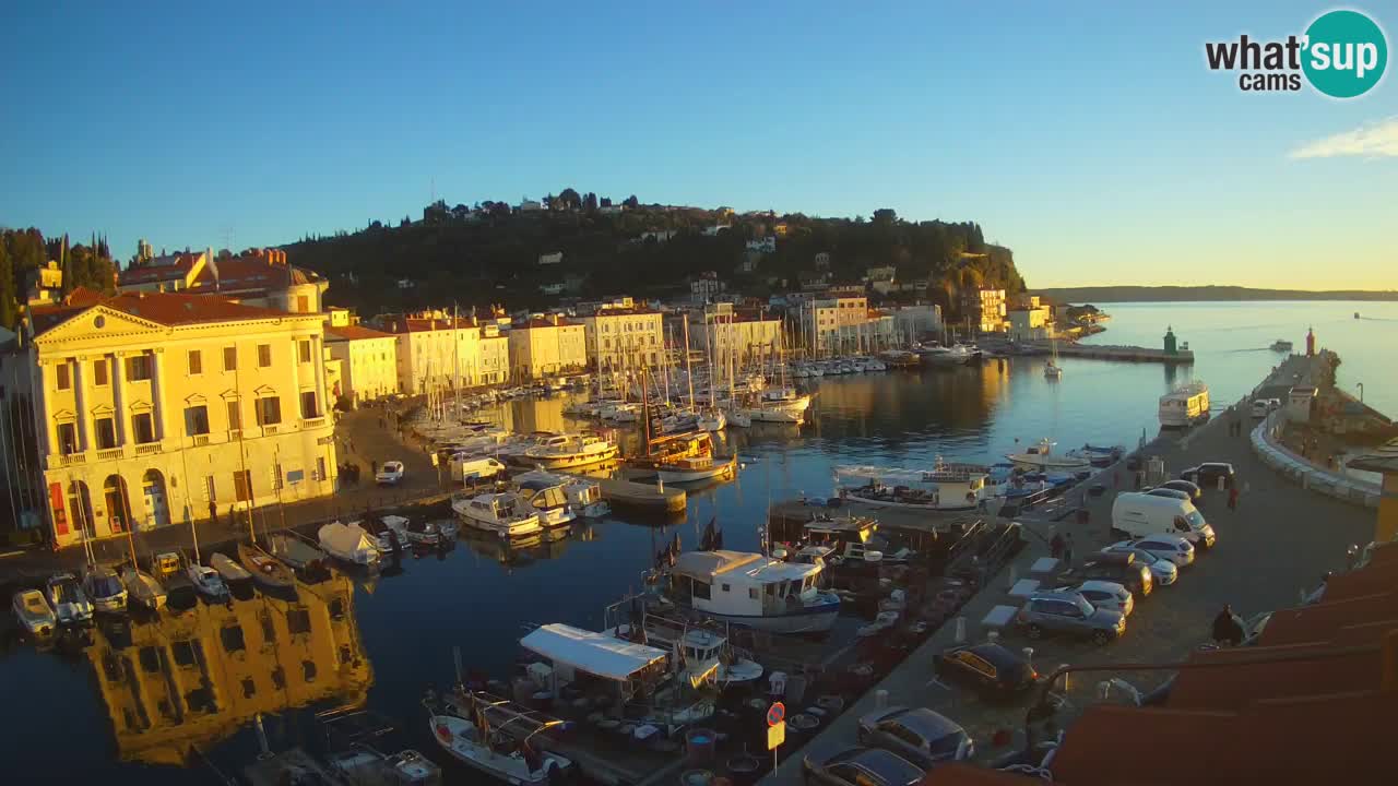 Iz Pirana Spletna kamera v živo “Mandrač” – Neverjeten pogled v živo iz Vile Piranesi