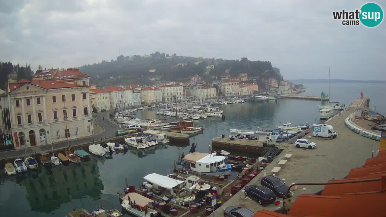 Live webcam from Piran “Mandrač” – Amazing live view from Villa Piranesi