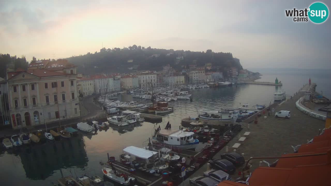 Web kamera uživo iz Pirana “Mandrač” – Nevjerojatan pogled uživo iz Ville Piranesi