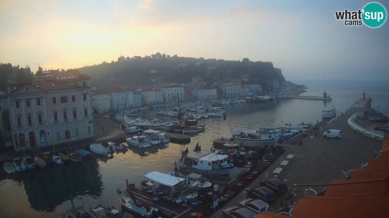 Web kamera uživo iz Pirana “Mandrač” – Nevjerojatan pogled uživo iz Ville Piranesi