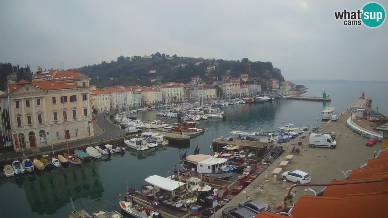 Live webcam da Pirano “Mandrač” – Splendida vista live da Villa Piranesi