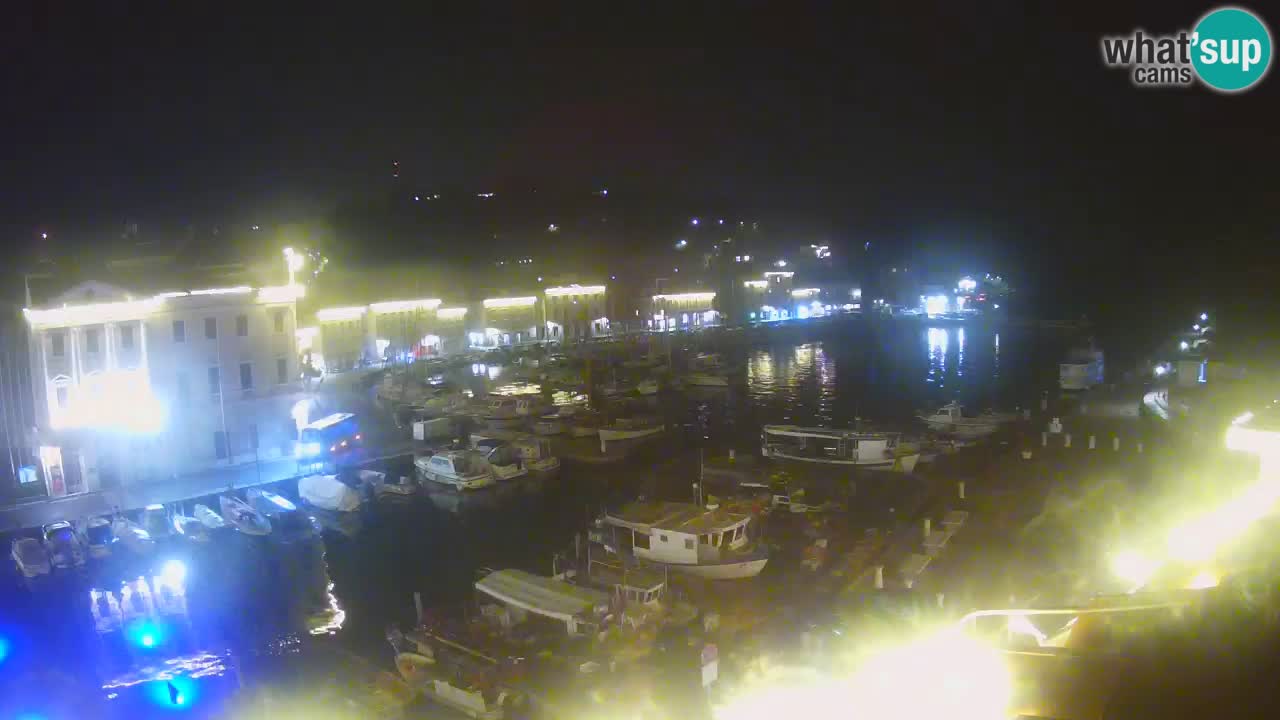 Iz Pirana Spletna kamera v živo “Mandrač” – Neverjeten pogled v živo iz Vile Piranesi