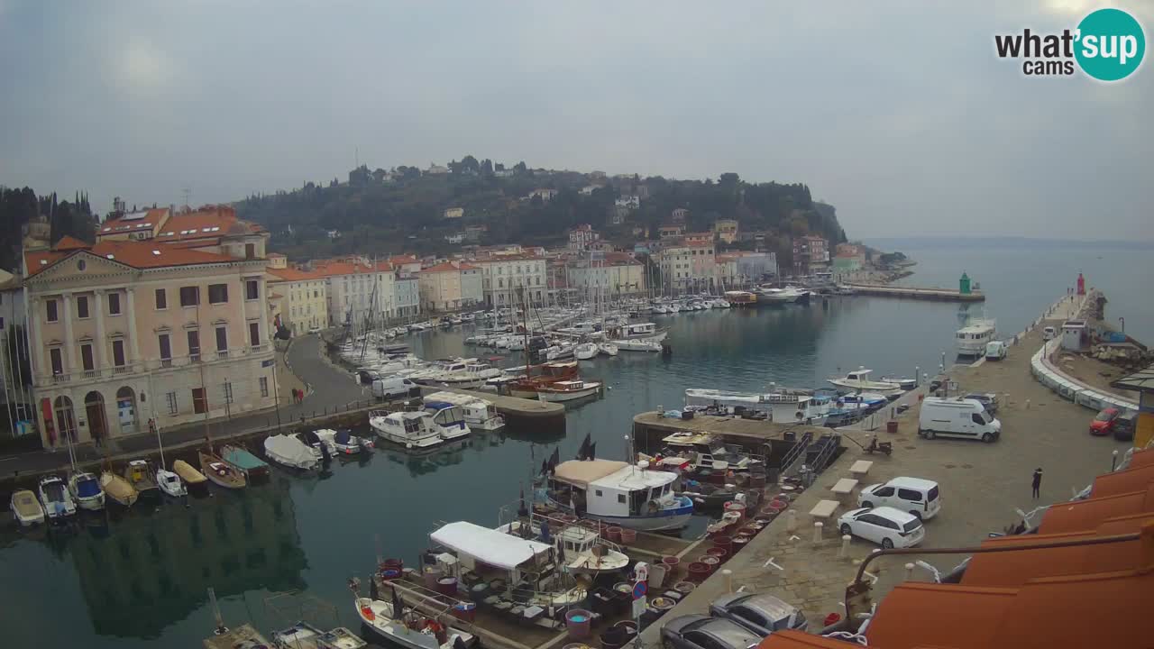 Live webcam from Piran “Mandrač” – Amazing live view from Villa Piranesi