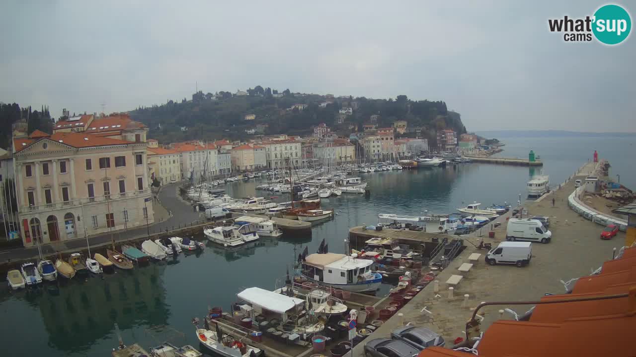 Web kamera uživo iz Pirana “Mandrač” – Nevjerojatan pogled uživo iz Ville Piranesi