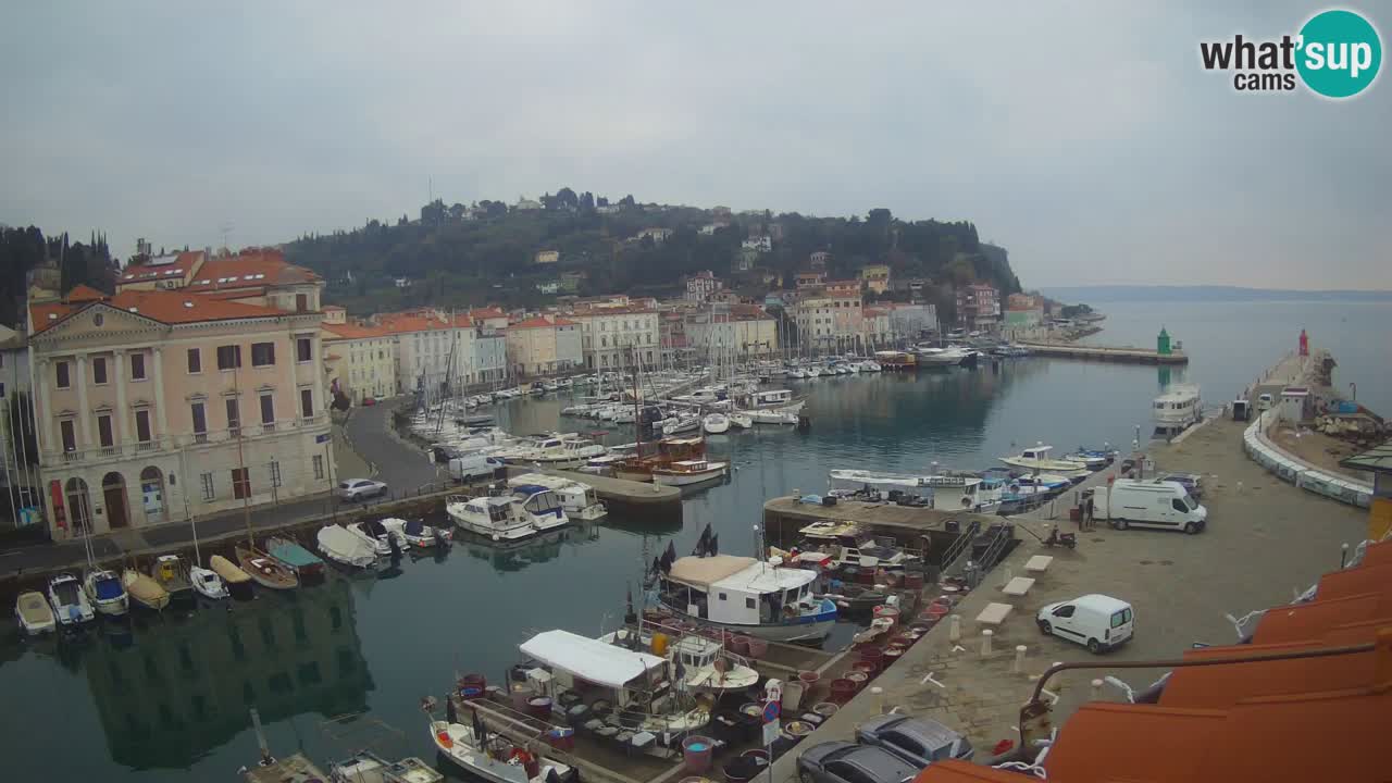 Webcam en direct de Piran “Mandrač” – Incroyable vue en direct de la Villa Piranesi