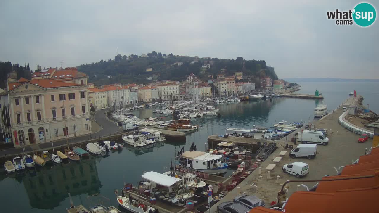 Live webcam da Pirano “Mandrač” – Splendida vista live da Villa Piranesi