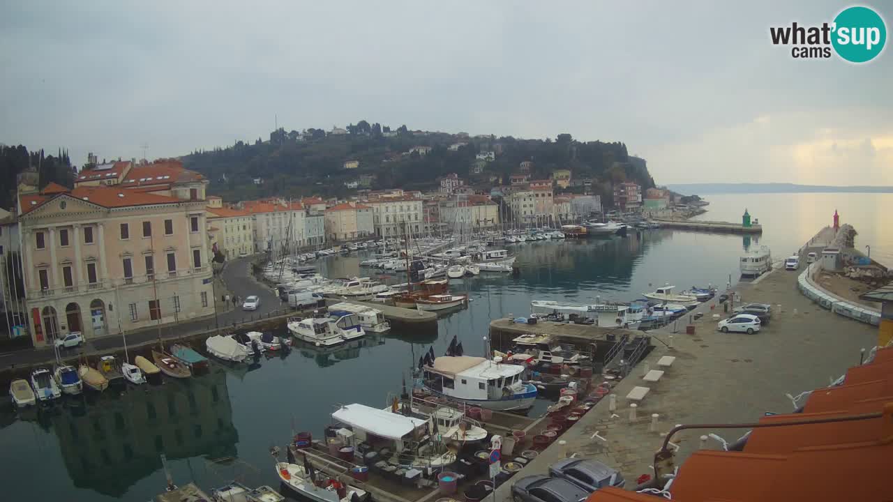 Live-Webcam aus Piran “Mandrač” – Erstaunliche Live-Ansicht von Villa Piranesi