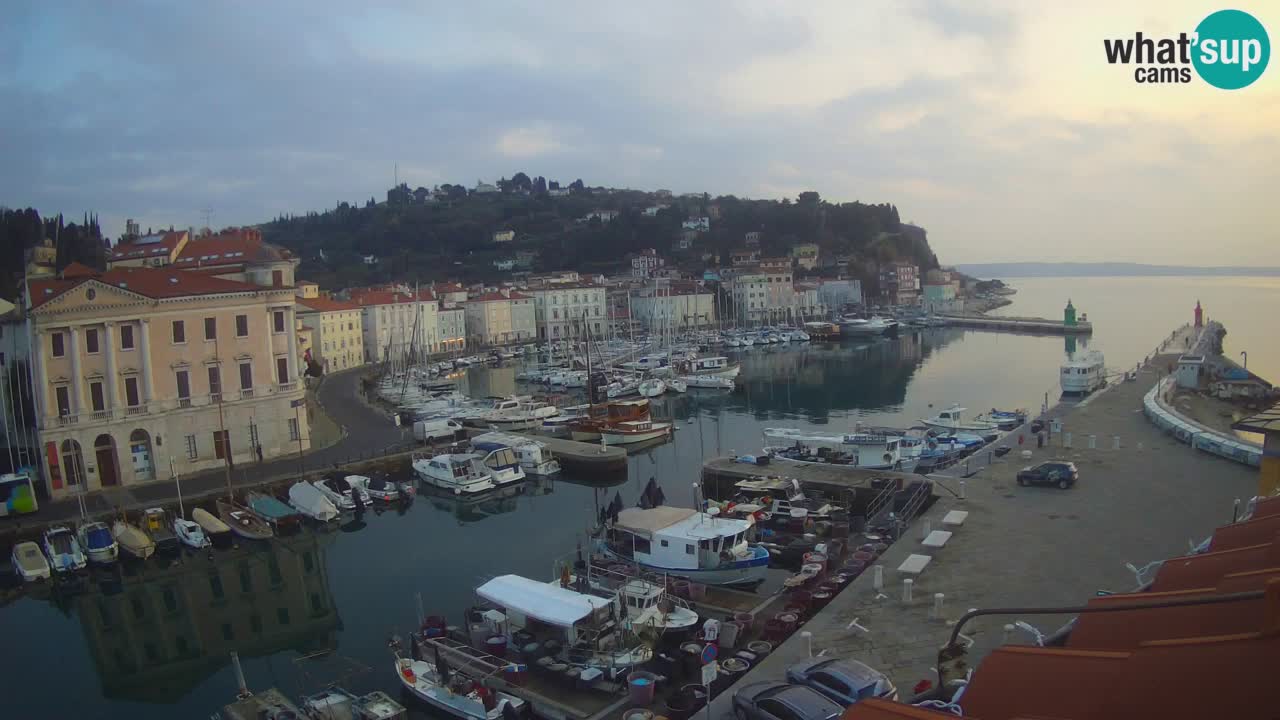 Web kamera uživo iz Pirana “Mandrač” – Nevjerojatan pogled uživo iz Ville Piranesi