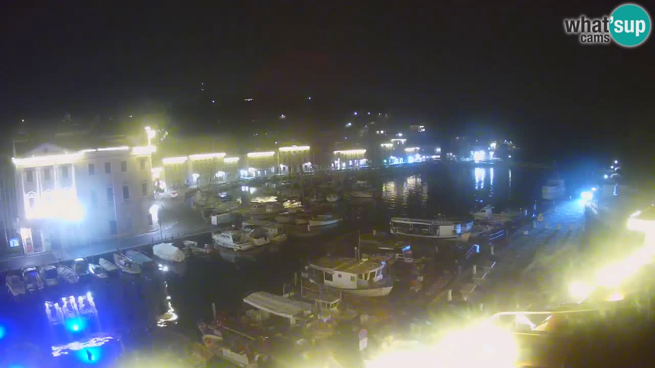 Iz Pirana Spletna kamera v živo “Mandrač” – Neverjeten pogled v živo iz Vile Piranesi