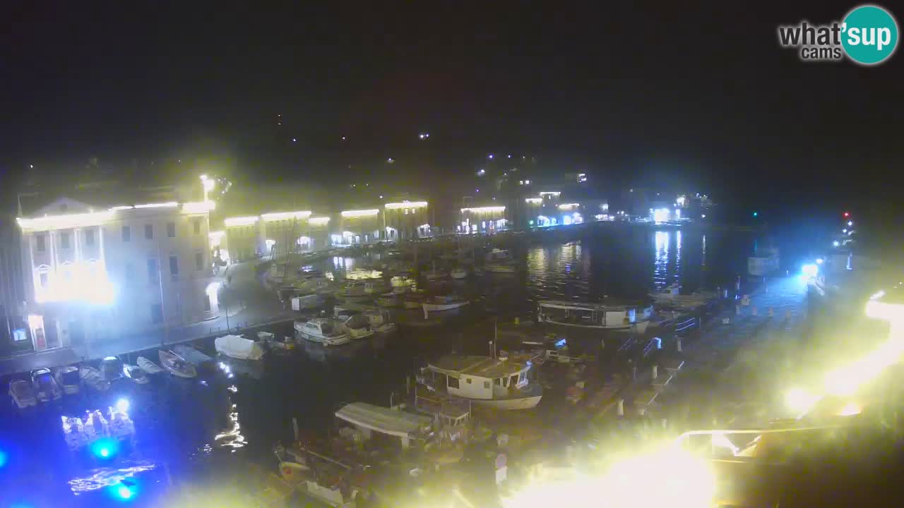 Iz Pirana Spletna kamera v živo “Mandrač” – Neverjeten pogled v živo iz Vile Piranesi