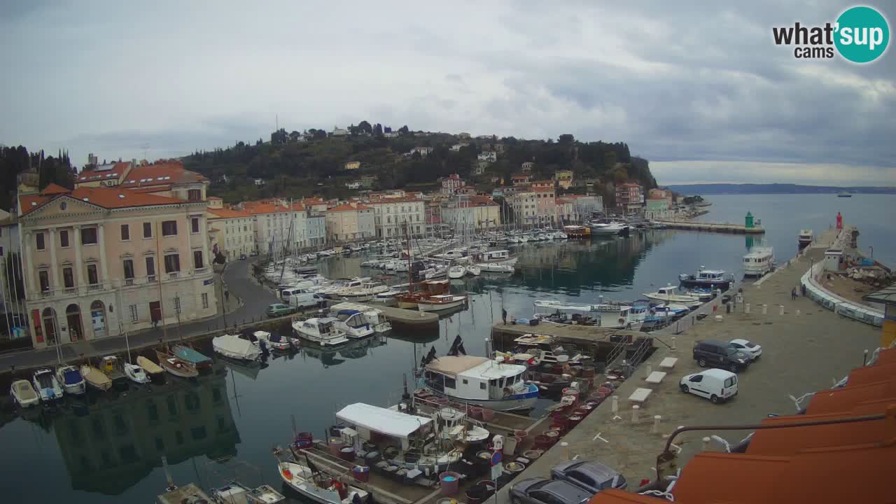 Webcam en direct de Piran “Mandrač” – Incroyable vue en direct de la Villa Piranesi