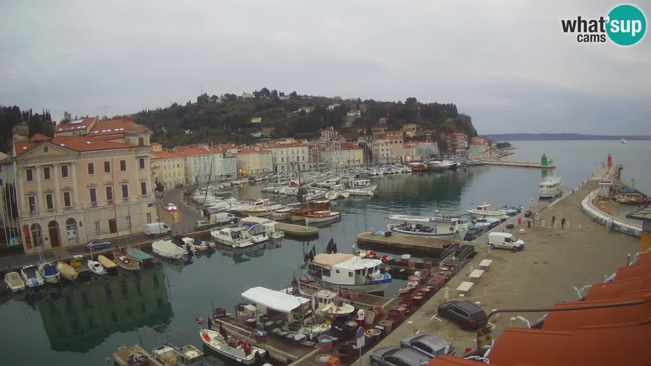 Live-Webcam aus Piran “Mandrač” – Erstaunliche Live-Ansicht von Villa Piranesi