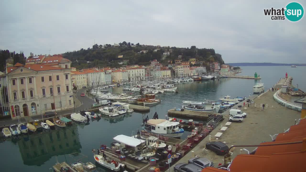 Web kamera uživo iz Pirana “Mandrač” – Nevjerojatan pogled uživo iz Ville Piranesi