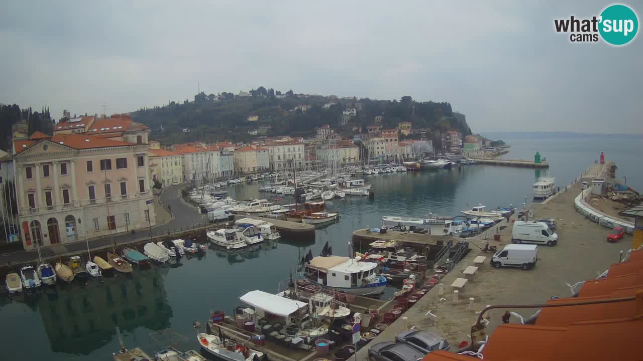 Live webcam da Pirano “Mandrač” – Splendida vista live da Villa Piranesi