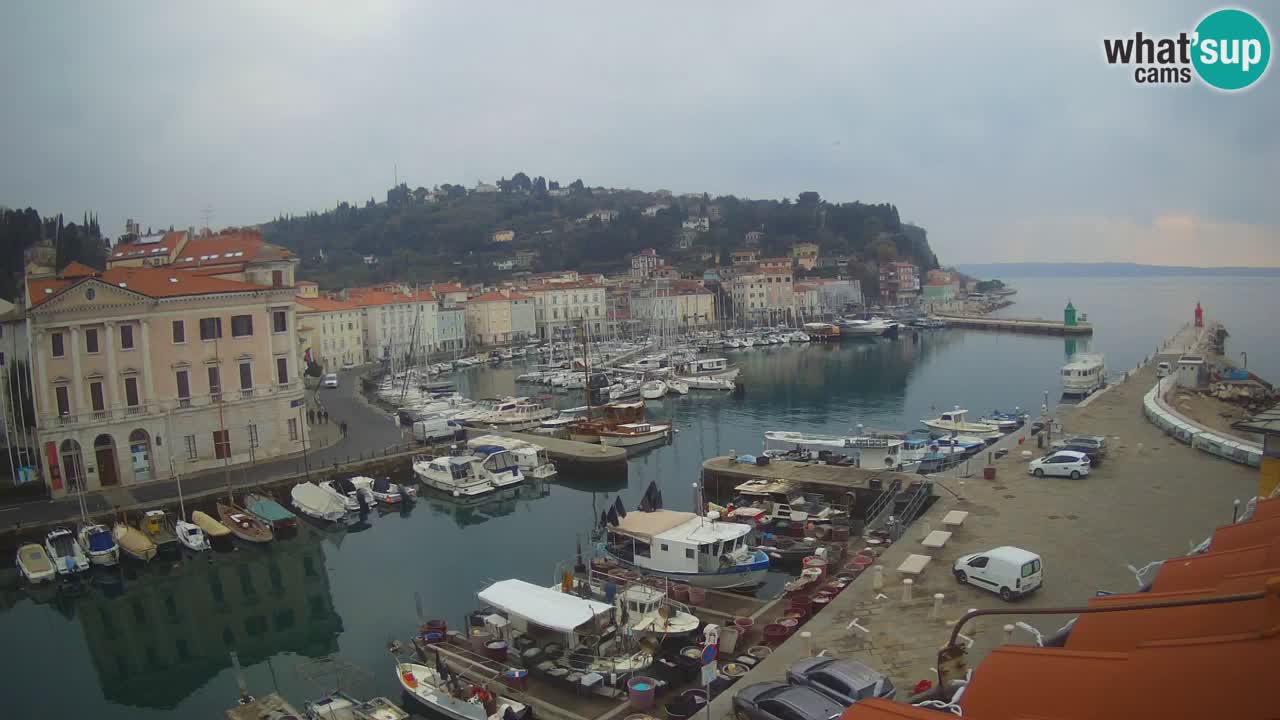 Iz Pirana Spletna kamera v živo “Mandrač” – Neverjeten pogled v živo iz Vile Piranesi