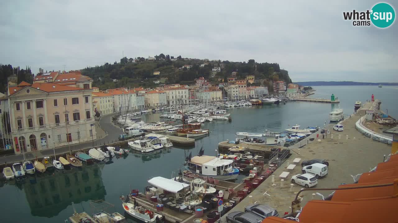 Live-Webcam aus Piran “Mandrač” – Erstaunliche Live-Ansicht von Villa Piranesi